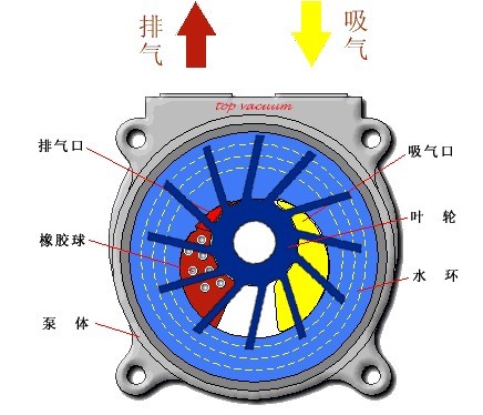 products20101.jpg